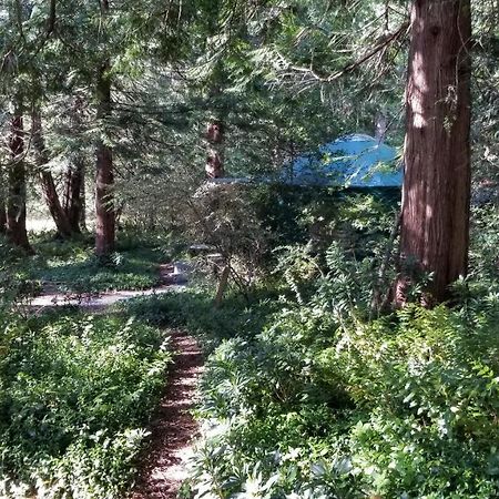 Sacred Pilgrimage Studio Guest House Metchosin Exterior photo